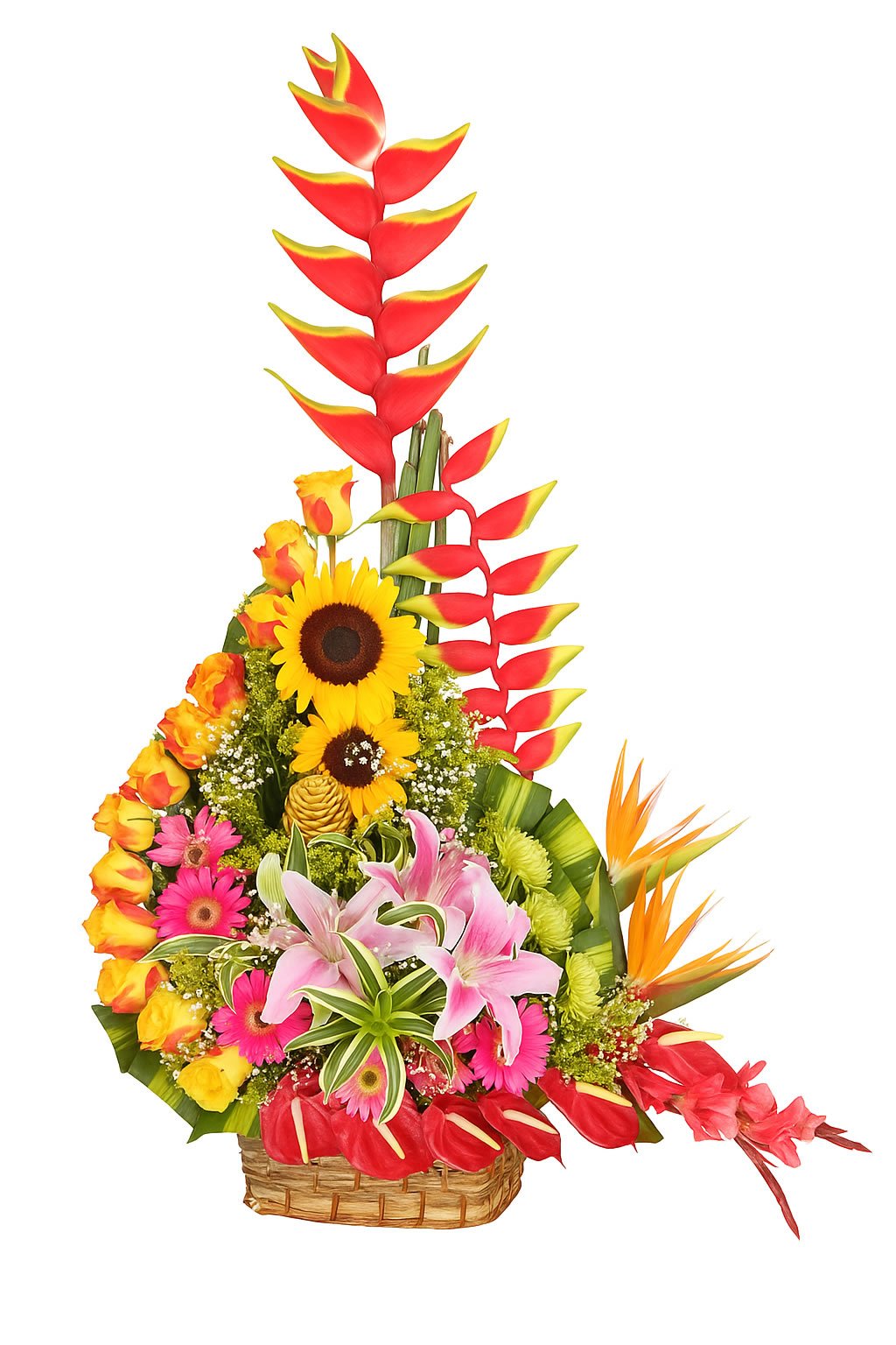 Tropical Paradise of Colors