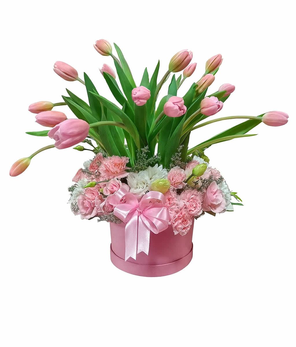 Tulips in Sweet Charm
